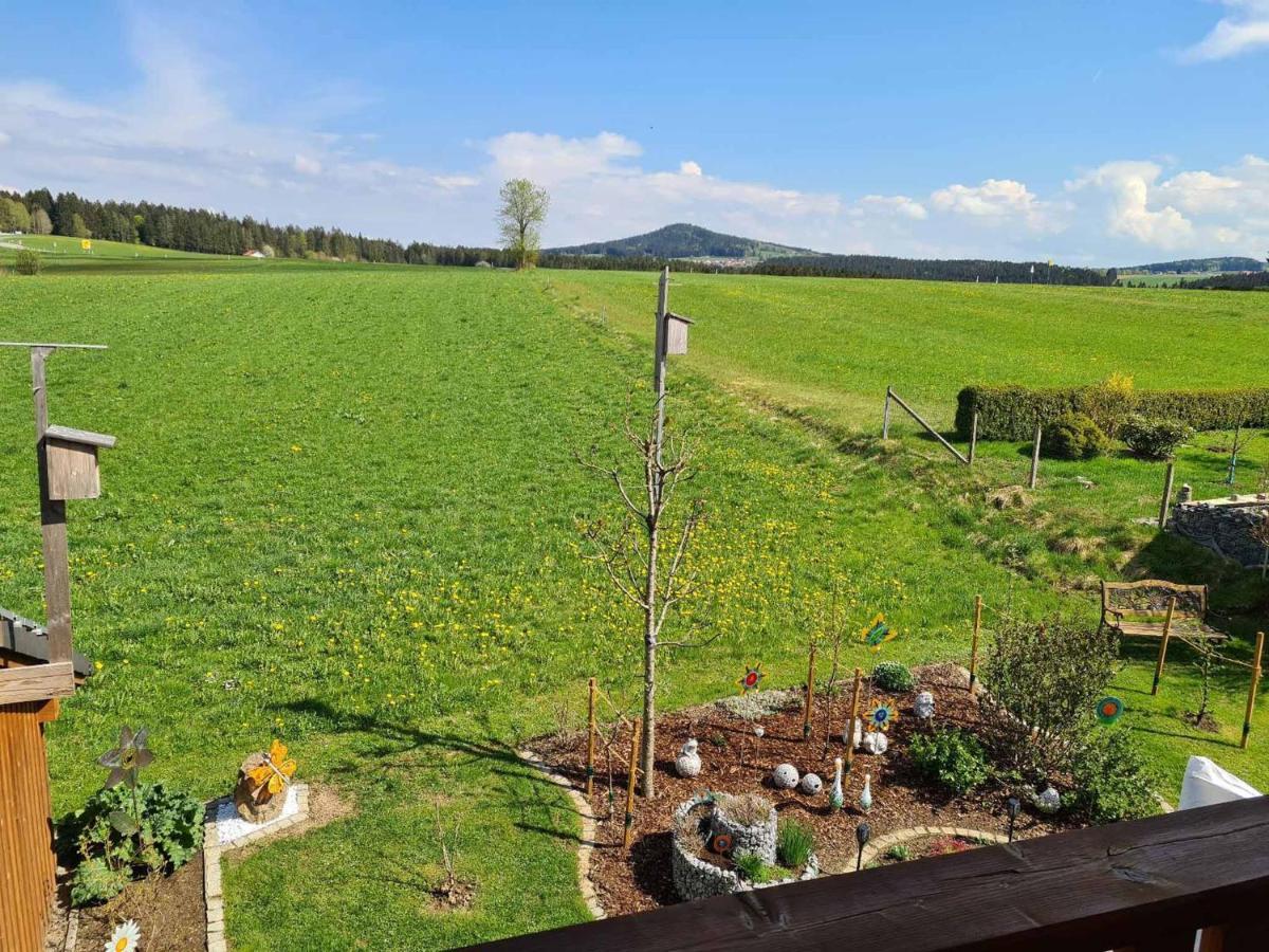 Appartement Graf Konrad Grafenau (Bavaria)